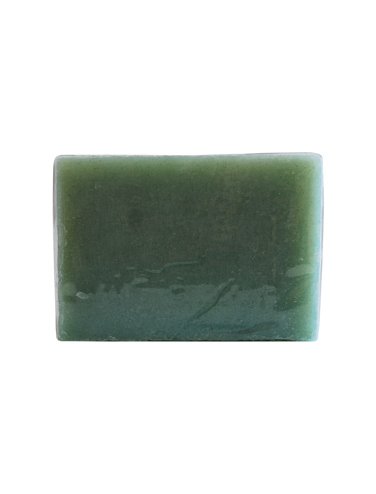 Alga spirulina